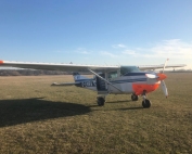 ffx201904-Fallschirmspringer_Neustadt_Weinstraße1